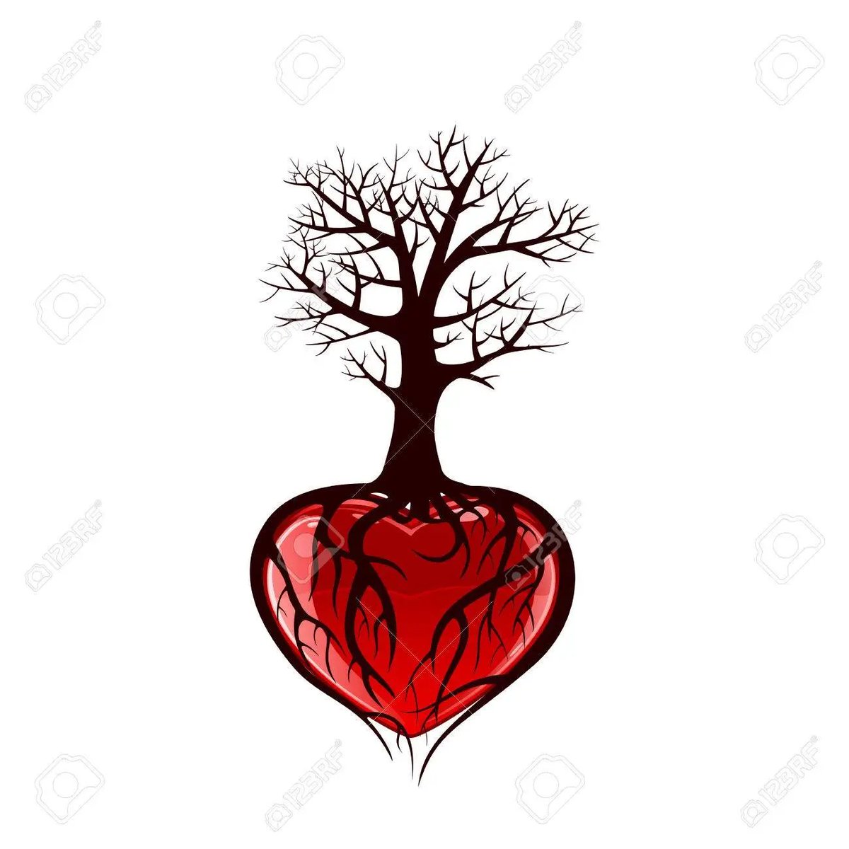 JulieParker144's tweet photo. HEART ROOT: 1poetic, rare The source of a person's most profound emotions; the bottom of the heart.  2Botany A large, obliquely descending tree root, as contrasted with a vertical taproot or a horizontal root. Frequently attributive, especially in "heart-root system". #heartroot https://t.co/QZWS7sydn2