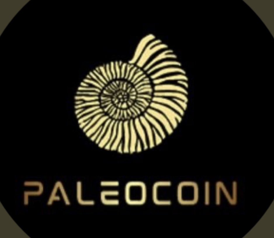 🎁#PALEOCOIN #GIVEAWAY🎁

3 WINNERS OF 50K #PALEOCOIN EACH

🪙Follow @PALEOCOINS &amp; Me
🪙Like And Retweet
🪙Tag 3 Friends
🪙Join Telegram : t.me/PALEOCOIN

⏰Ends 72h #TwitterPicker

#XRPL #StaykX #Giveaway
