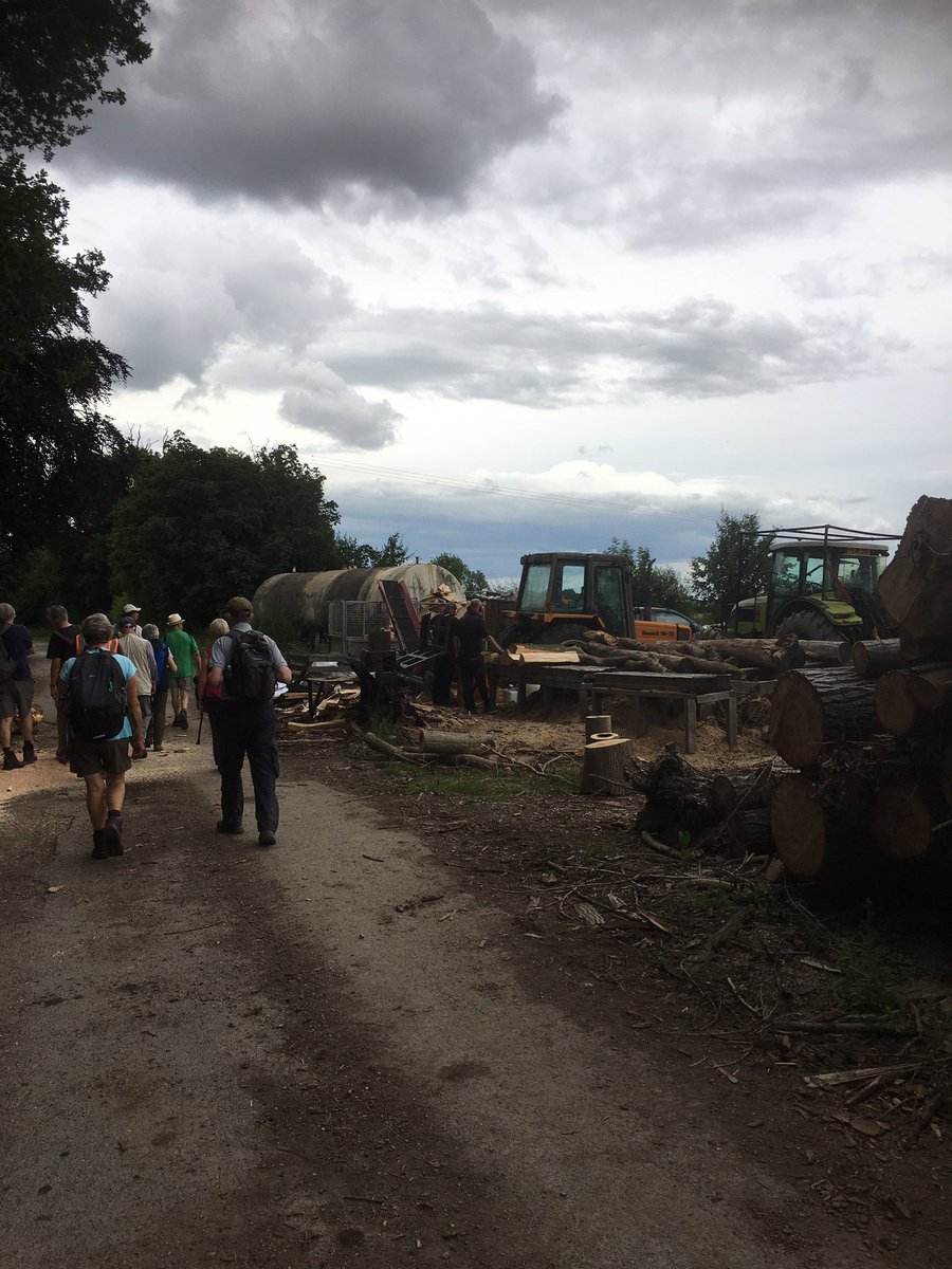 CountrysideNK's tweet photo. Thanks to Gina @NorthKestevenDC and Rob for leading the #NKWF22 Festival Walk this morning from Silk Willoughby, Sleaford. A great turnout for a 6.2 miler taking in the countryside surrounding Aswarby and Swarby with grassy swards, sheep and a sawmill https://t.co/ZRKy6vgEQq
