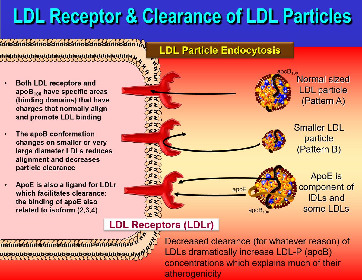 Drlipid tweet image