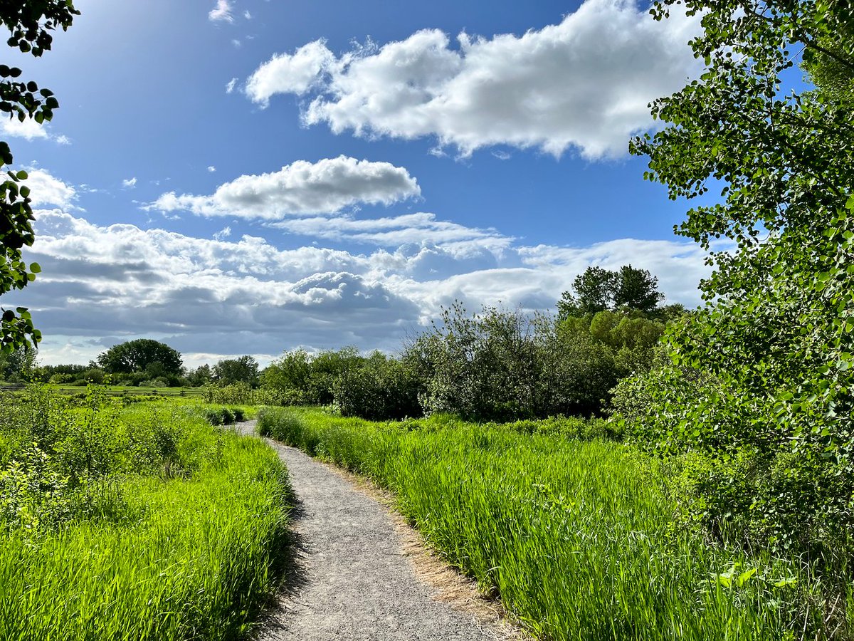 JasonKechely's tweet image. Scenes from the 'hood...
#BozemanMT  #MTSummer  #ILoveClouds