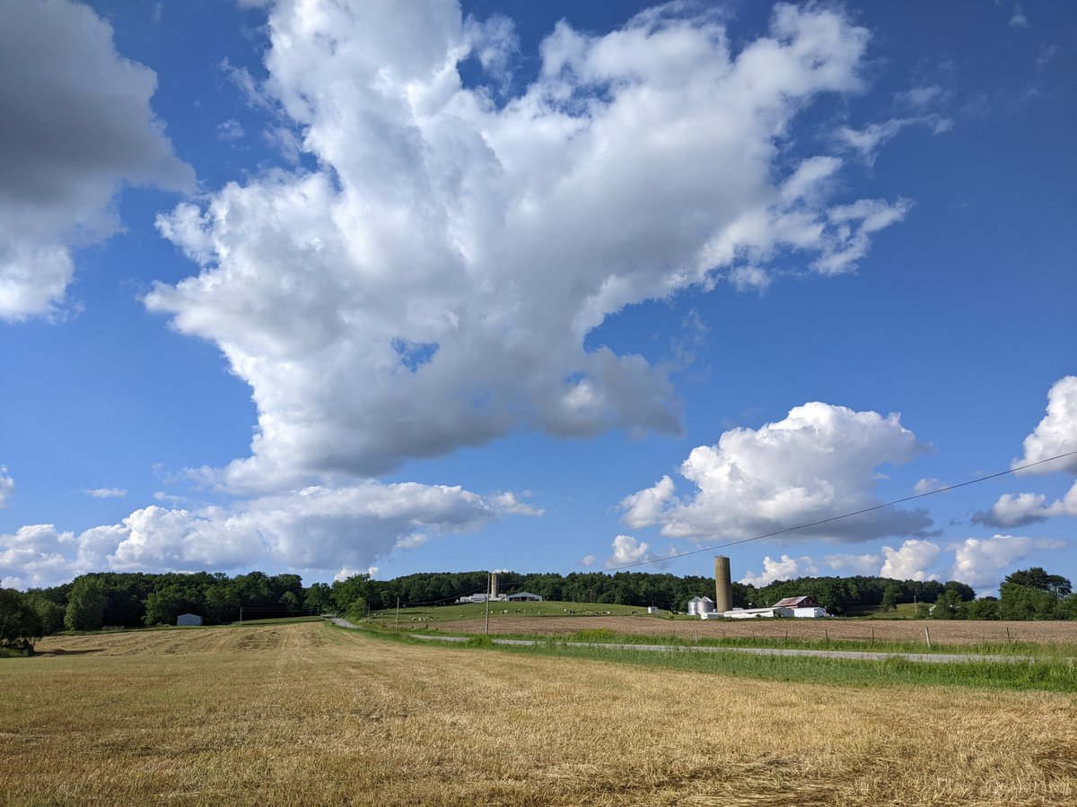 Kirst_Packs's tweet photo. That feeling when you find out one of your plots is located in a forest patch on Apple Sauce Lane 🍎🍏. Apple Creek, Wooster is a magical place. Also the best skies in Ohio @OSUEnvironment #SENRfieldwork https://t.co/A75TTkHlpA