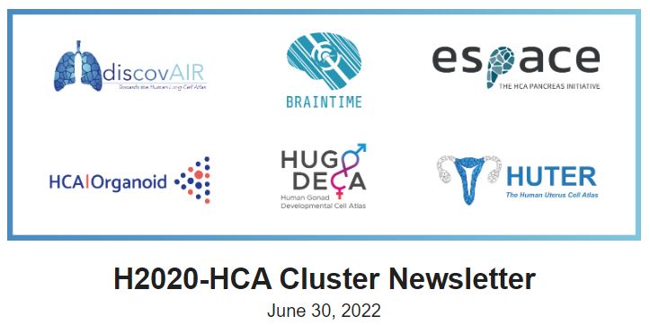Huter (@huter_hca) on Twitter photo Third and final release H2020-HCA Cluster Communication Group Newsletter
huter-hca.eu/news/2022/06/3… <a href="/humancellatlas/">Human Cell Atlas</a> <a href="/incliva_iis/">INCLIVA</a> @bahia <a href="/uea/">brandon hullott</a> <a href="/DrLindskog/">Cecilia Lindskog</a> <a href="/roserventotormo/">roser</a> <a href="/uppsalauni/">Uppsala universitet</a> Third and final release H2020-HCA Cluster Communication Group Newsletter
huter-hca.eu/news/2022/06/3… <a href="/humancellatlas/">Human Cell Atlas</a> <a href="/incliva_iis/">INCLIVA</a> @bahia <a href="/uea/">brandon hullott</a> <a href="/DrLindskog/">Cecilia Lindskog</a> <a href="/roserventotormo/">roser</a> <a href="/uppsalauni/">Uppsala universitet</a>