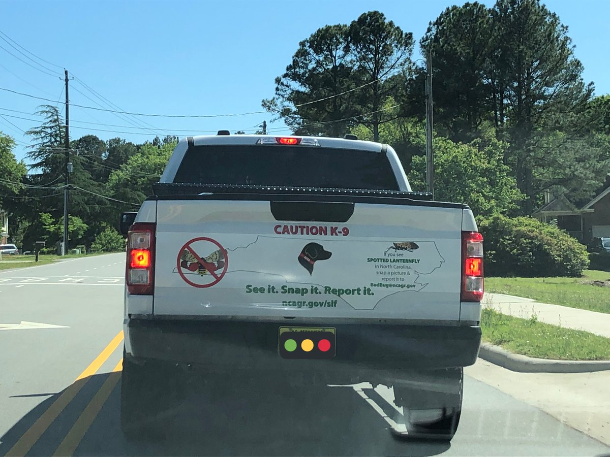 See it. Snap it. Report it. badbug@ncagr.gov #spottedlanternfly