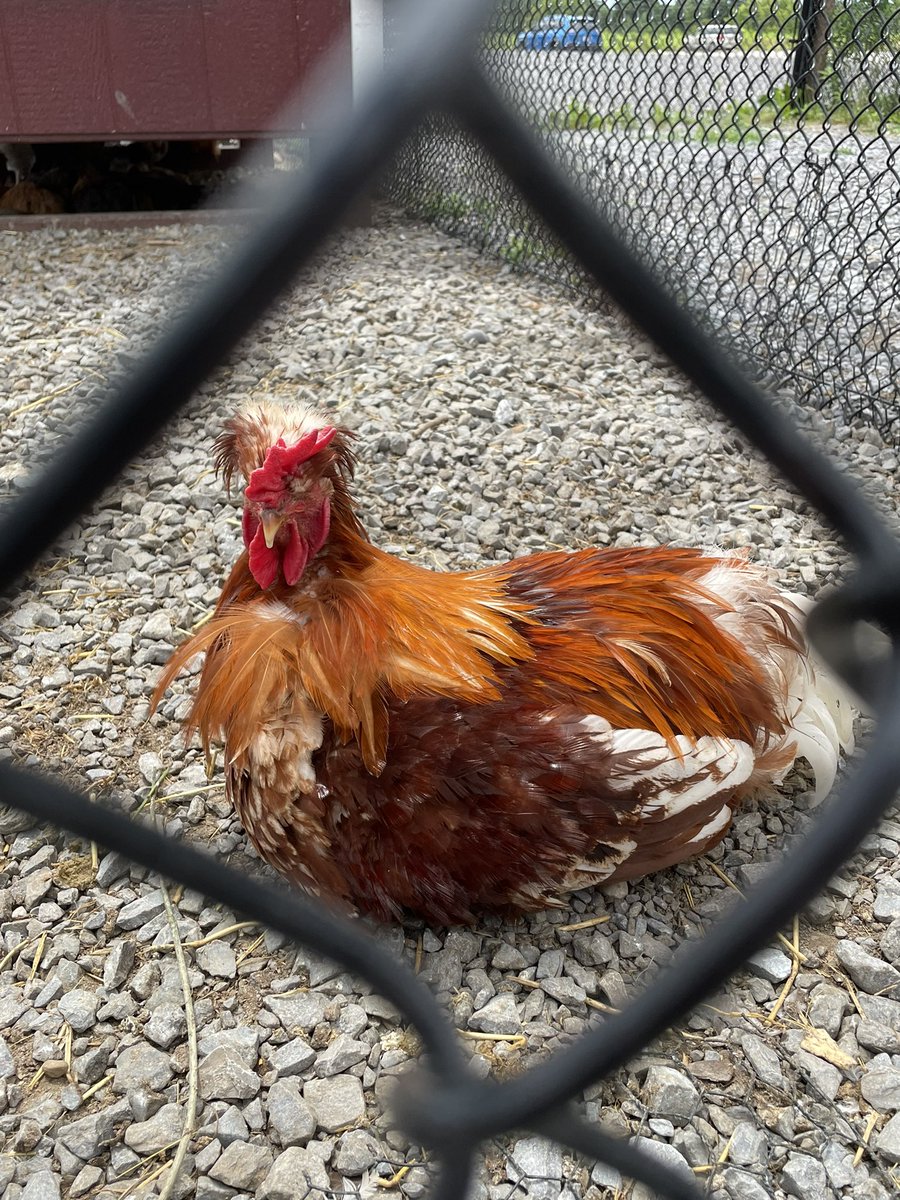 Joanne (she/her) 🇨🇦 tweet media