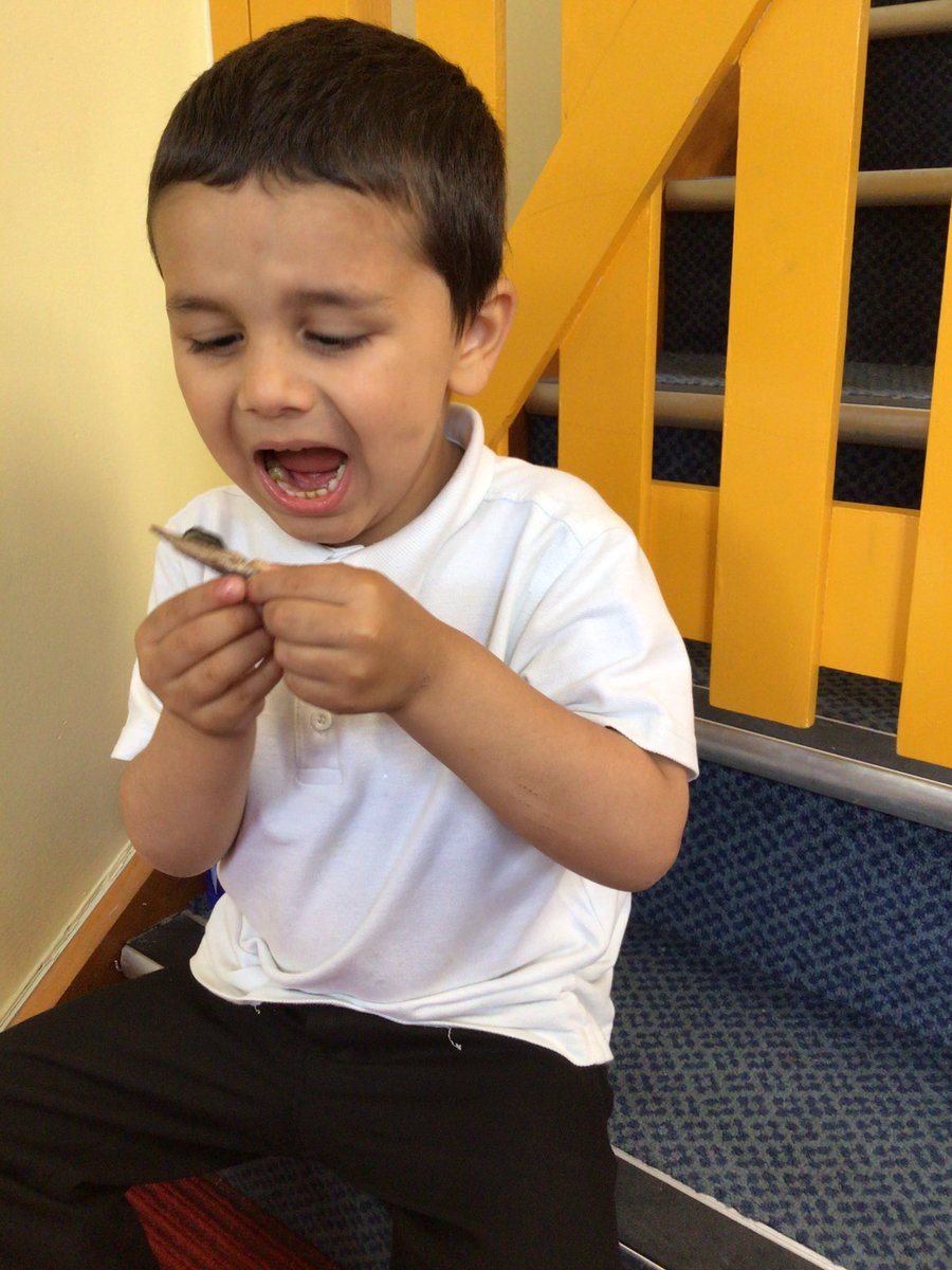 AbbeyMead_TMET's tweet photo. ZN enjoyed looking after the mini beast this morning #creatures #mini beasts #bugs #utw #exploring #learning #fun MissParmar https://t.co/Z1z3czNbjj