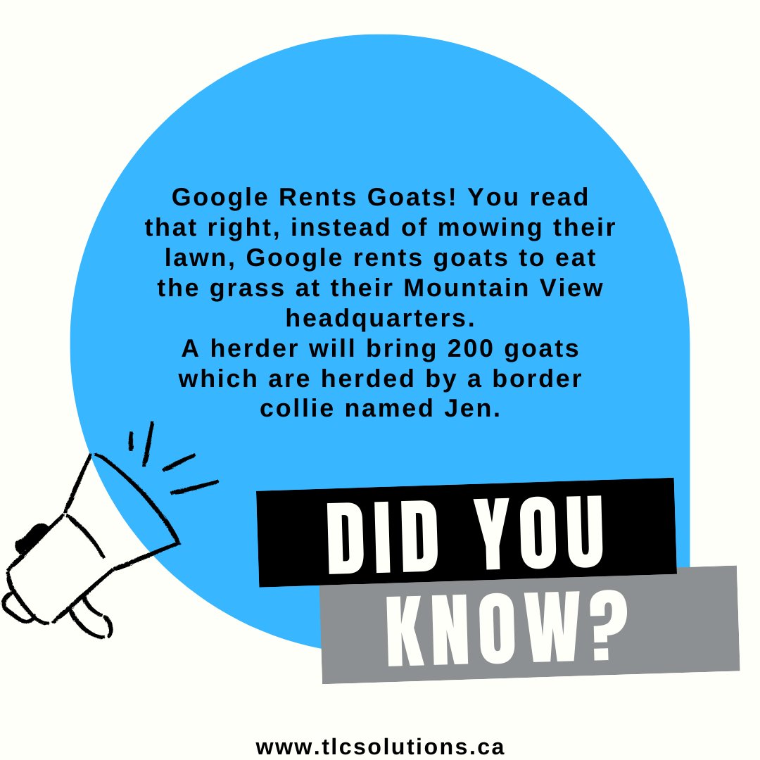 TLC Solutions tweet media