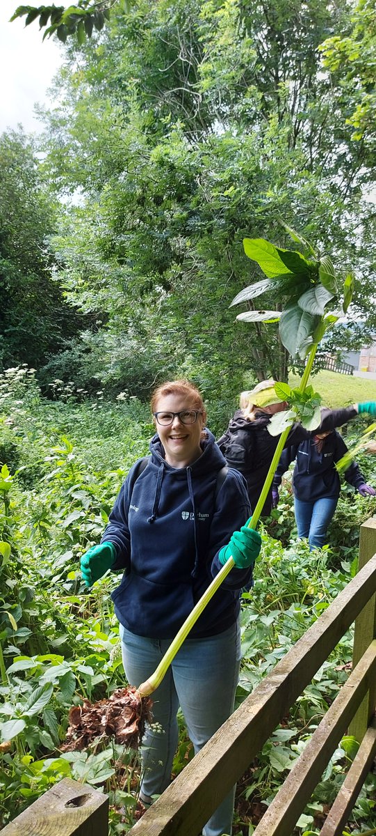 A group of our staff volunteered to clear the riverbanks of Himalayan Balsam, which is an invasive species crowding out native plant species and eroding riverbanks. Great job everyone! 

#duvolunteering <a href="/SVODurham/">DU Staff Volunteering</a>