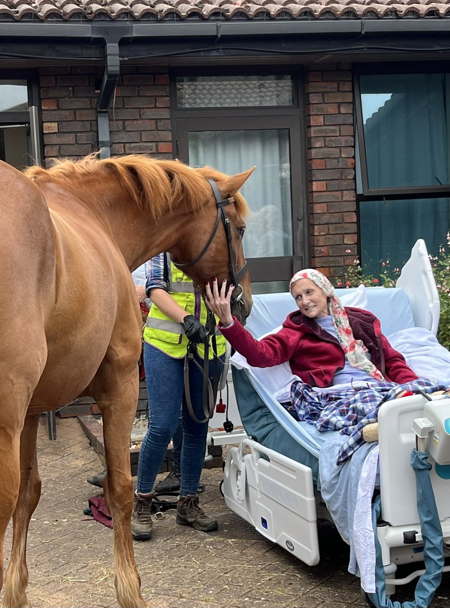 Photos shared with permission 
Today at the hospice we were privileged to share a special moment between our patient and her horse. 
Thank you to all that were involved in making this happen. <a href="/fnhcofficial/">Florence Nightingale Hospice Charity 💙</a> <a href="/BucksHealthcare/">Buckinghamshire Healthcare NHS Trust</a>