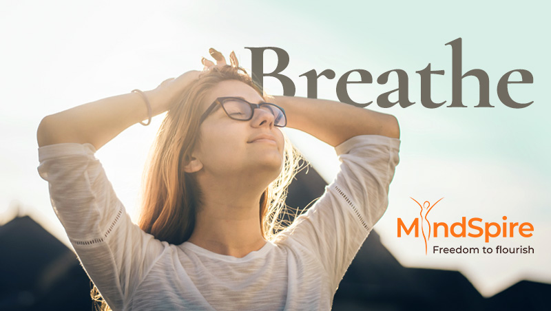 You can breathe easy. Our Founders' new collection of favourite tips and tools for releasing stress is now available. Please have a read &amp; tell us what you think 🙏

mindspire.co/pages/subscribe

#stressrelief #stressmanagement #breathe #relax #Mentalhealth #anxiety