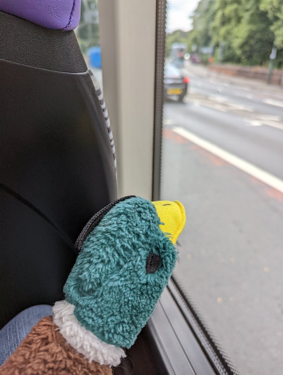 billbillduck's tweet photo. Quackquack quack @trentbartonland quack quack https://t.co/lABFPOsR9J