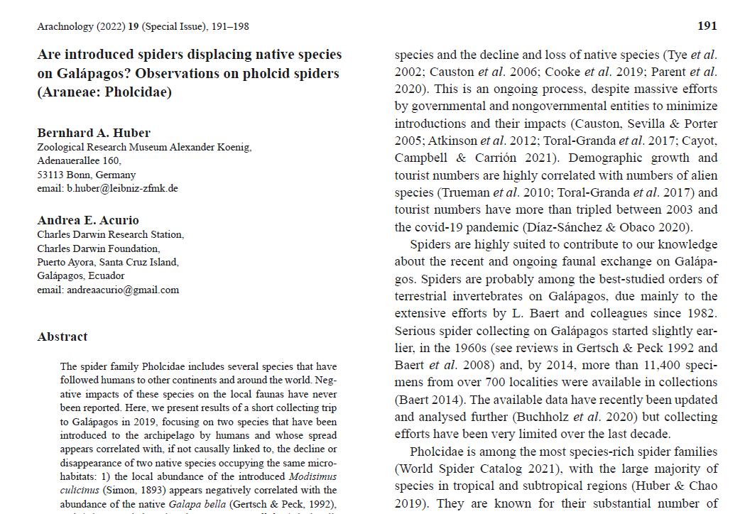 ArachnoTrAC's tweet photo. Huber &amp; Acurio (2022) presented new faunistic data on pholcid spiders from Galápagos, focusing on two species that have been introduced to the archipelago and whose spread appears correlated with the decline of two native species!

More at: https://t.co/rbzu1C57HM https://t.co/7qeK1UZ1sT