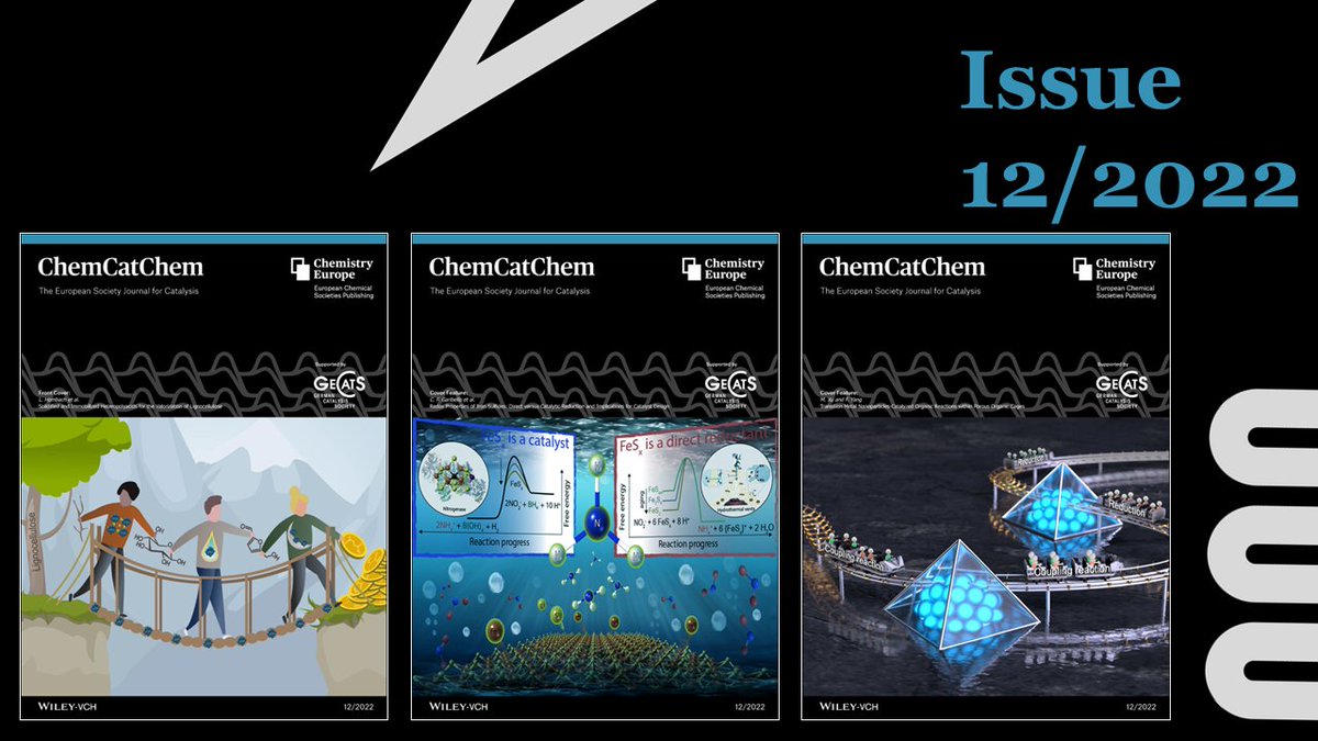 📢Check out ChemCatChem Issue 12/2022:

👉bit.ly/CCTC_12-2022

Don't miss the covers by <a href="/AKBeine1/">A. K. Beine</a> and <a href="/oooAJV/">AJV</a>, <a href="/Hockinglab/">Rosalie</a>, and Fanzhi Yang. 

Including great work from <a href="/RientePaola/">Paola Riente Paiva</a> and <a href="/NoelGroupUvA/">Noel Research Group</a>, Emiel Hensen, Hermenegildo García, <a href="/NeoPhotoCat/">NeoPhotoCat 🇵🇸🇲🇦🇫🇷</a>, ​ and many more.