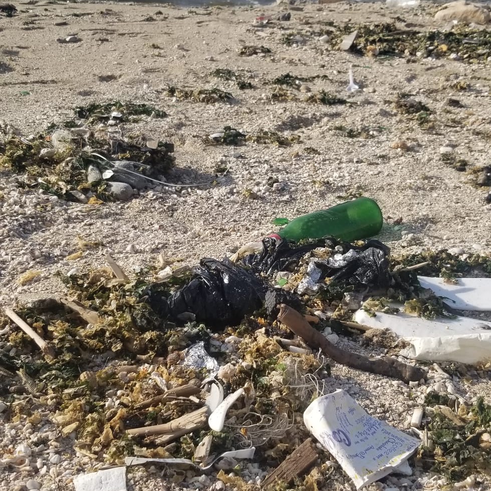 Association MerTerre tweet media