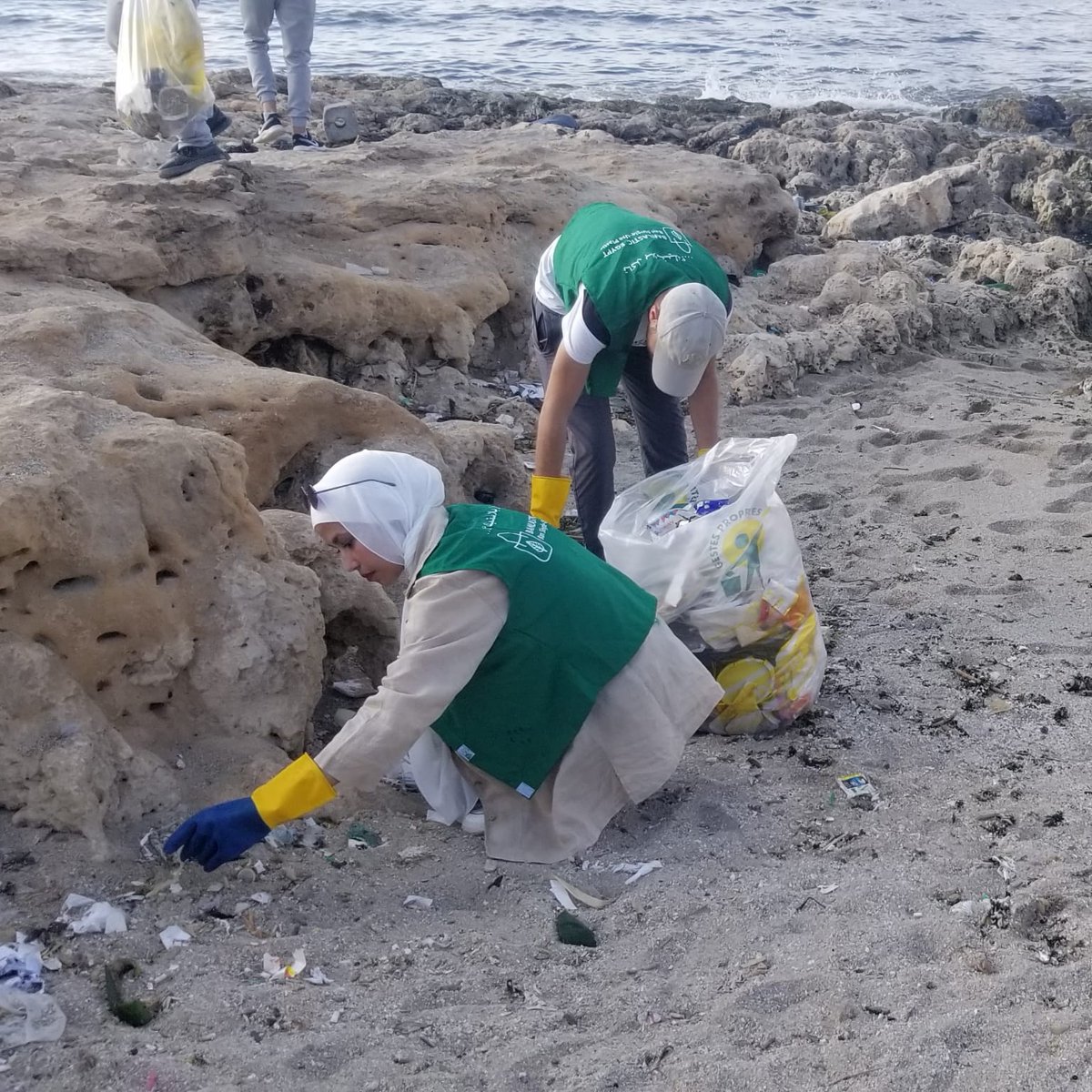 Association MerTerre tweet media