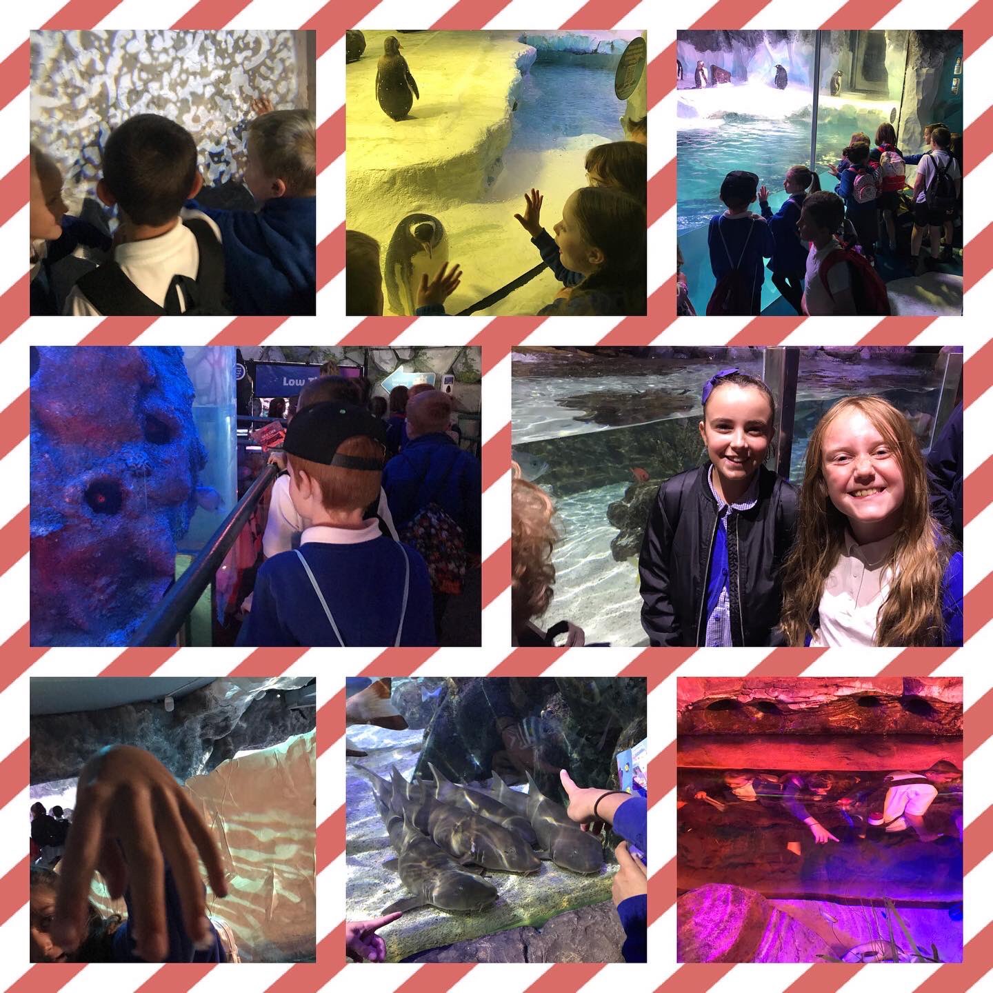 Heathfields Infant and Wilnecote Junior Academy on Twitter "Year 4