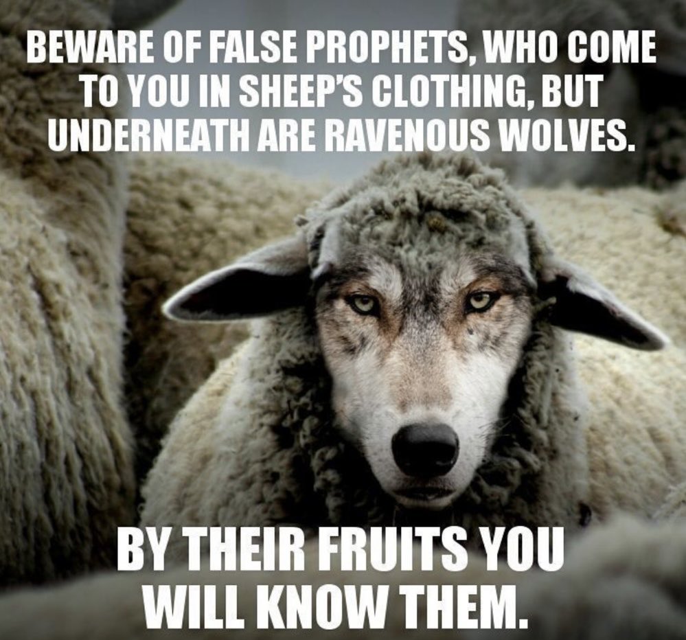 📖 Matthew… 🐑🐺🤔🙏🏻