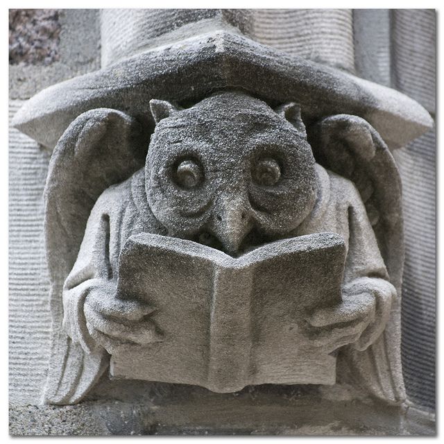 Into The Forest Dark tweet media