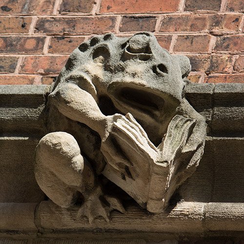 Into The Forest Dark tweet media