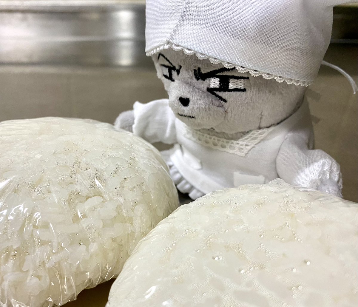 numaneesan's tweet image. 残りご飯を冷凍するｵｶﾝ島さん☺️今日もお手伝いご苦労様でした♥️