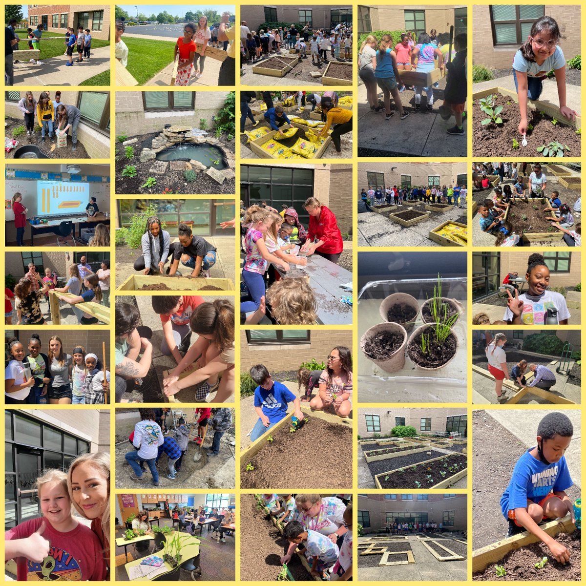Monticello Elementary is changing the landscape of education, literally, through an all-building courtyard improvement project. Students were the doers in all aspects of the project.
Photo Gallery: waynewarriors.smugmug.com/Monticello-Ele…
Learn How Each Student Helped: myhhcs.org/news/monticell…