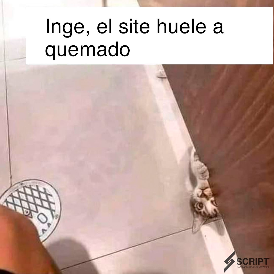 ScriptMx_Mx's tweet photo. Ayúdenos Ingeee 😭😭😭

https://t.co/F4MBIkcZdu
📞444-813-6400
.
#Script #Yaott #ciberseguridad #sanluispotosi #cloud #UPGRADE_YOURSELF https://t.co/kp7XL1kHYR