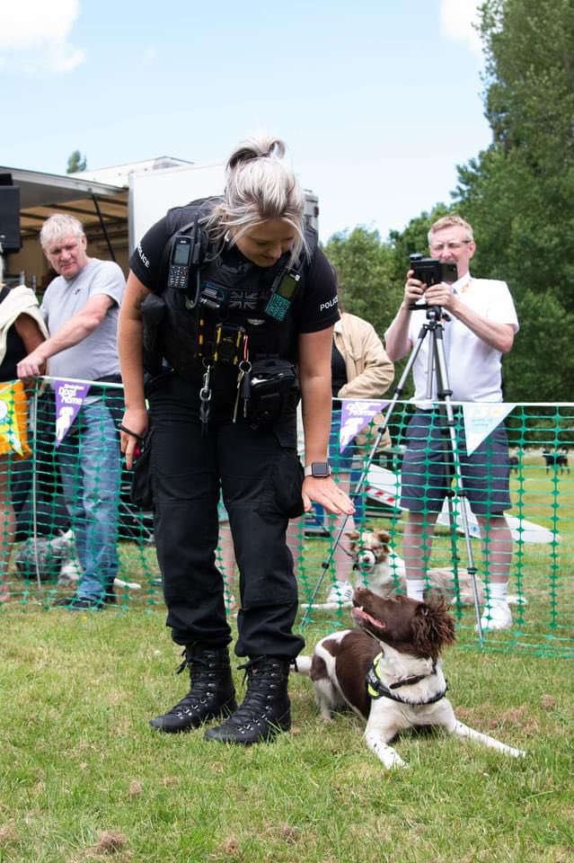 WMPDogs's tweet photo. We had a great day engaging with the public for the @BhamDogsHome annual fun day. https://t.co/lU83xPZP0f
