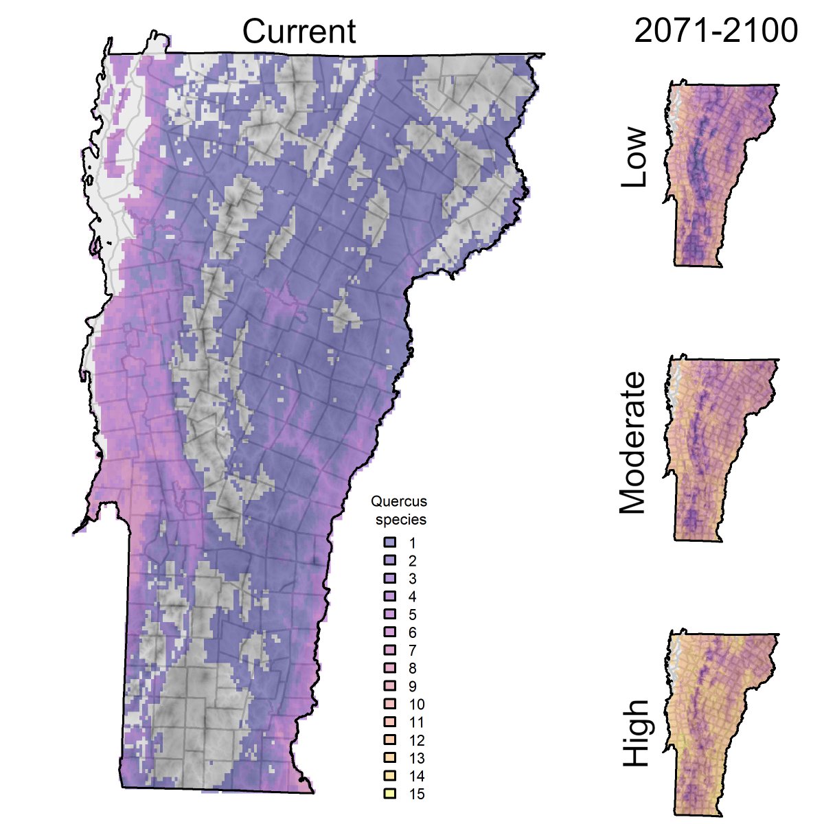 VT Ecostudies has migrated. tweet media