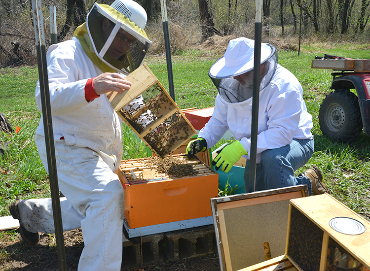 Today is the LAST DAY to renew your Something Special from Wisconsin membership to stay in good standing! Visit datcpservices.wisconsin.gov/ssfw/index.jsp to log in and renew!