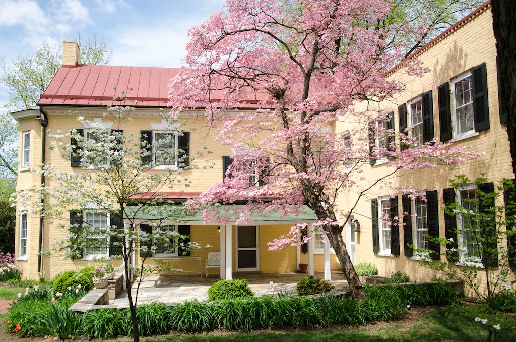 gcmarshall_org's tweet photo. Did you know that there are over 20 varieties of trees at Dodona Manor? Learn more about their origins, environments and uses on our NEW self-guided tree tour! Visit https://t.co/WiCEbwzPMM to access it as well as our self-guided architectural tour of the house. #gcmic https://t.co/lt480MYoFx