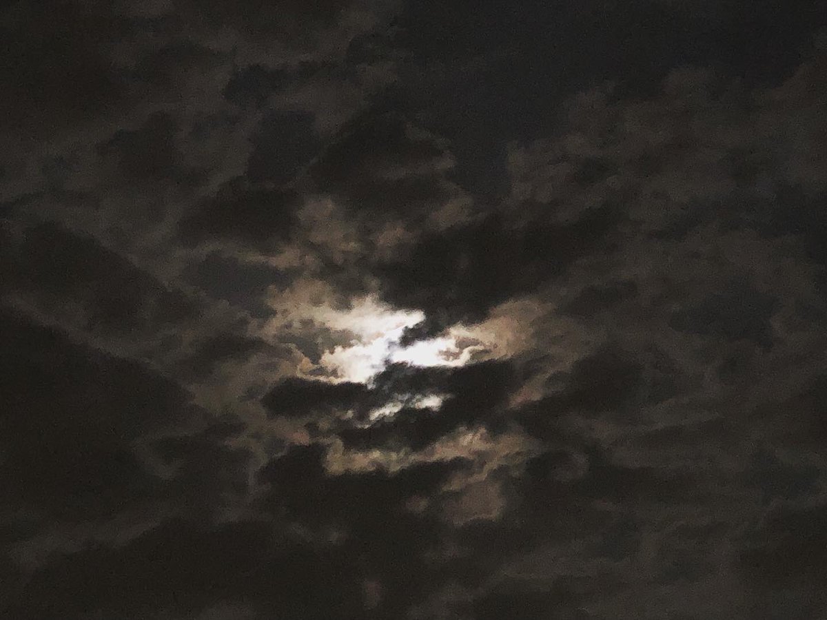 SilentTiger777's tweet photo. #poetrycommunity #poetry #loneliness #quitsmoking #movingon #findingajob #single #hopeless #writing #WritingCommunity #despair #depression #darkness #Senselessness #madman #alone #notokay #farfromokay #deadinside #lostcause #lostsoul #lostlove https://t.co/LJrM9adwG2