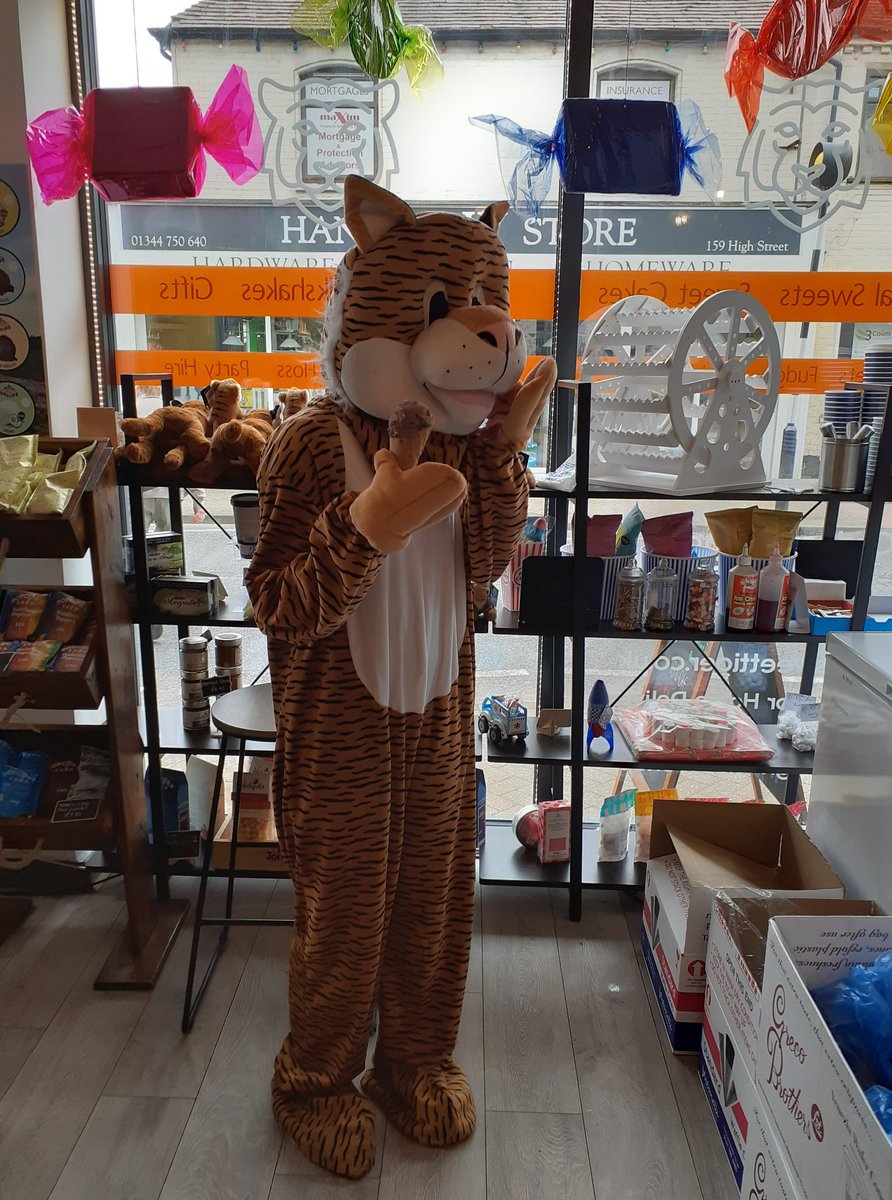 Tigers4Ever2010's tweet photo. Tigers4Ever mascot #TobyTheTiger has gone on tour again, keep an eye out for him this week at Sweet #Tiger in #Crowthorne High Street https://t.co/kubtsSy2qN https://t.co/NBrz5JYWhV