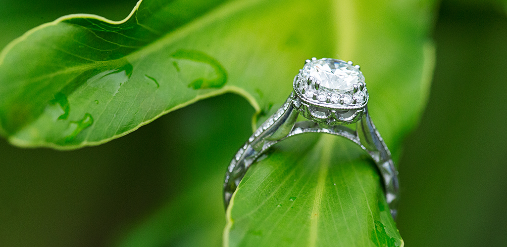 Sustainability Rated Diamonds tweet media