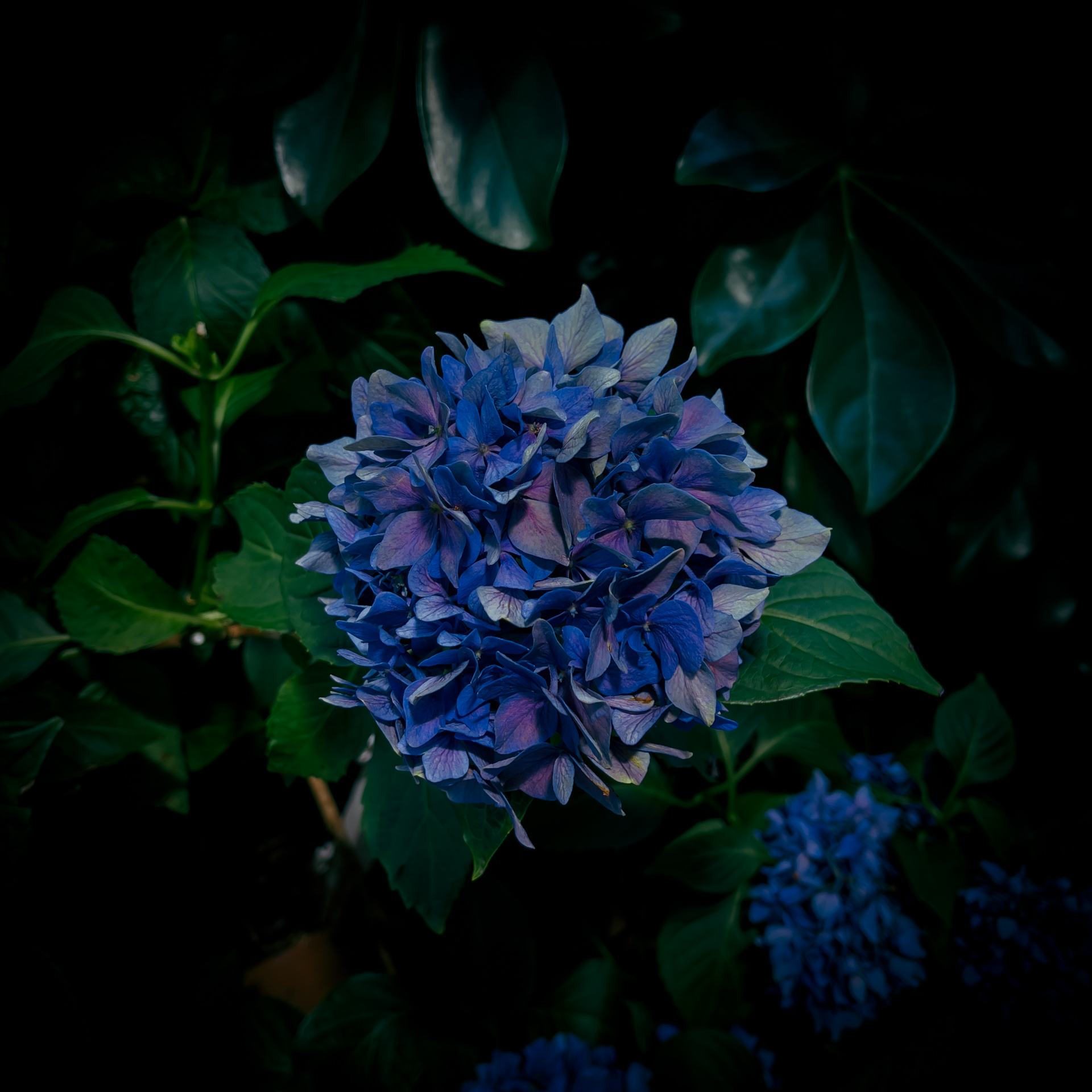 See Yuukicamera S Tweet On Jul 1 22 Twitter