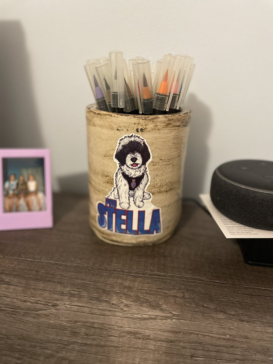 K_Kotrous's tweet photo. @RNC_Stella, look what we just found in Matt’s sister’s room. You have some little fans in Iowa 🤩 Miss you two!! 💙🥰 https://t.co/3k9VR6vNN1