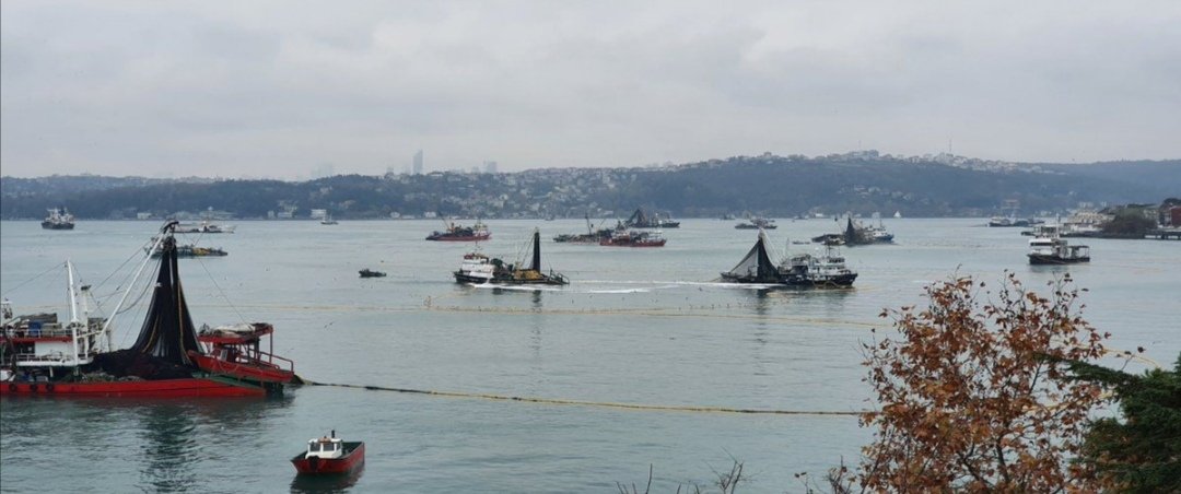 BogazKc's tweet image. 1 Eylül geliyor.Endüstriyel balık gemileri için sezon başlayacak. Fotoğraflardaki can yakan görüntüleri tekrardan izleyeceğiz.Çünkü balıklar için biyolojik geçiş koridoru olan boğazda, endüstriyel balık avcılığı henüz durdurulmadı.
Gerçekleşecek bu faciaya dur demeliyiz.
@bsgmtr