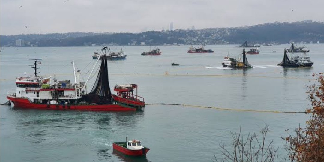BogazKc's tweet image. 1 Eylül geliyor.Endüstriyel balık gemileri için sezon başlayacak. Fotoğraflardaki can yakan görüntüleri tekrardan izleyeceğiz.Çünkü balıklar için biyolojik geçiş koridoru olan boğazda, endüstriyel balık avcılığı henüz durdurulmadı.
Gerçekleşecek bu faciaya dur demeliyiz.
@bsgmtr
