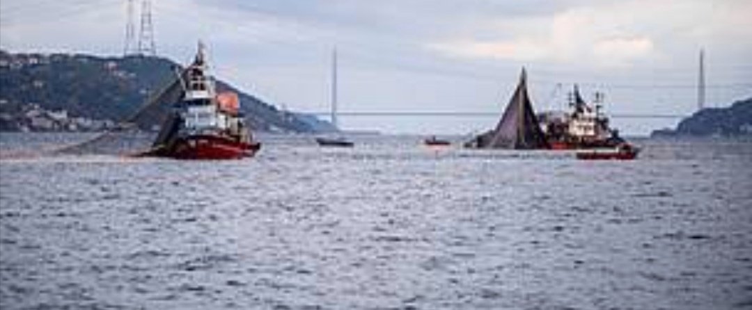 BogazKc's tweet image. 1 Eylül geliyor.Endüstriyel balık gemileri için sezon başlayacak. Fotoğraflardaki can yakan görüntüleri tekrardan izleyeceğiz.Çünkü balıklar için biyolojik geçiş koridoru olan boğazda, endüstriyel balık avcılığı henüz durdurulmadı.
Gerçekleşecek bu faciaya dur demeliyiz.
@bsgmtr