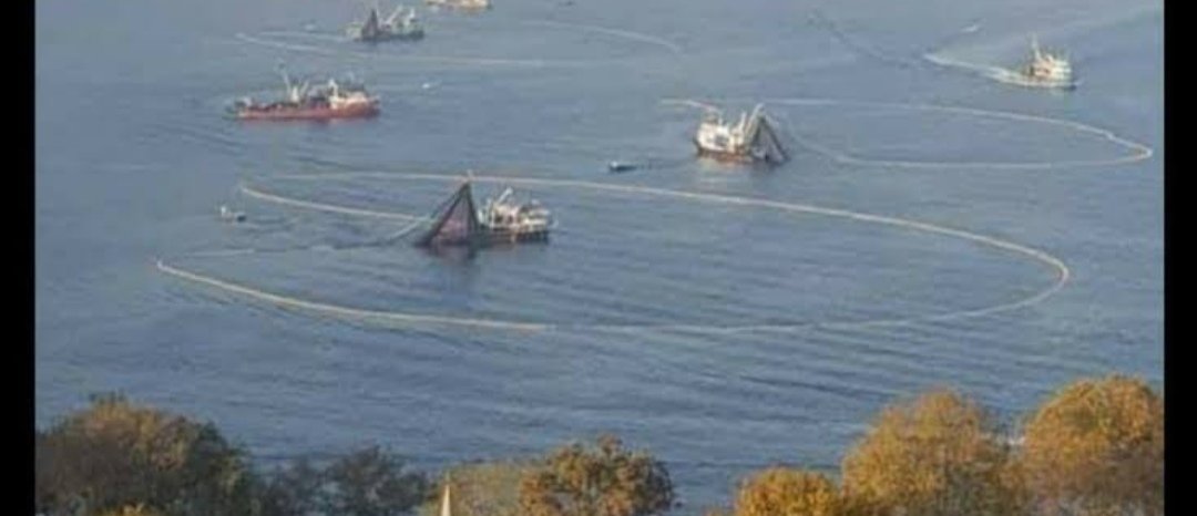 BogazKc's tweet image. 1 Eylül geliyor.Endüstriyel balık gemileri için sezon başlayacak. Fotoğraflardaki can yakan görüntüleri tekrardan izleyeceğiz.Çünkü balıklar için biyolojik geçiş koridoru olan boğazda, endüstriyel balık avcılığı henüz durdurulmadı.
Gerçekleşecek bu faciaya dur demeliyiz.
@bsgmtr