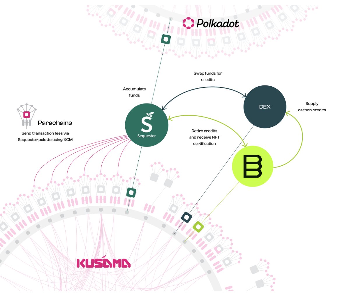 <a href="/adamcarv/">Adam Carver</a> <a href="/emilyostbo/">Emily</a> <a href="/SequesterChain/">Sequester Chain</a> <a href="/PolkadotDecoded/">Polkadot Decoded</a> Here's a visualization of how the transaction fees ➜ carbon credits process works: