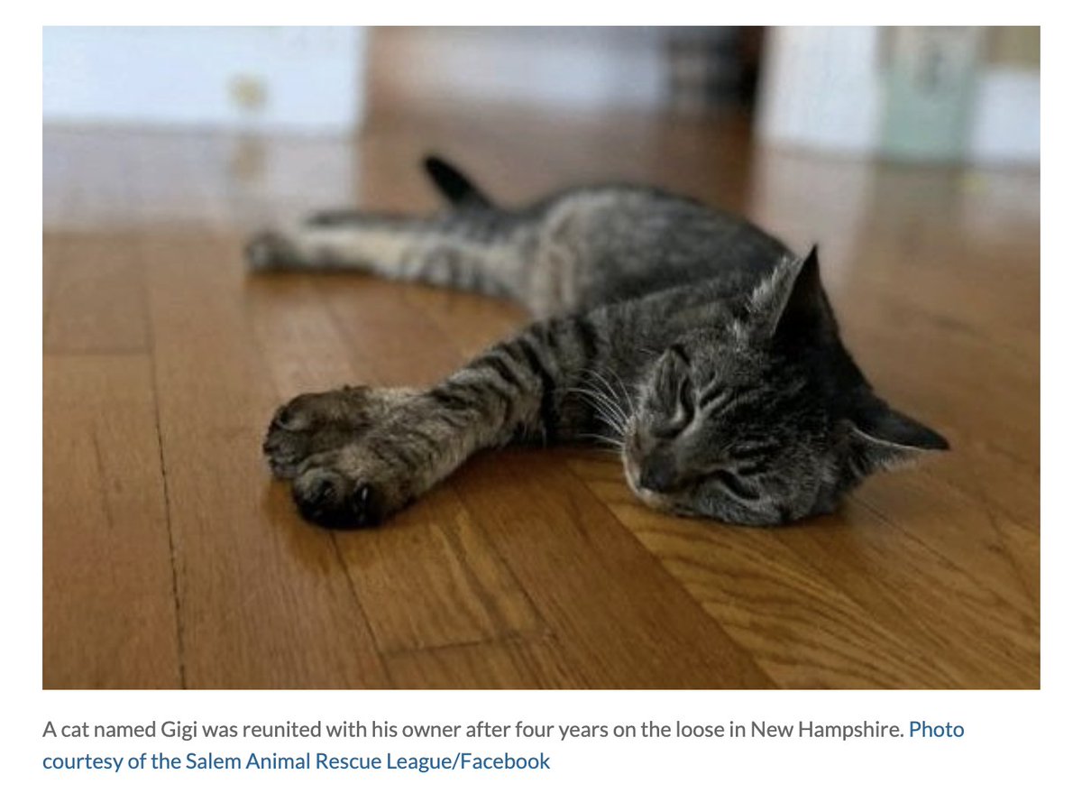 Crawlspacepod's tweet image. We get #weird in our latest ep and discuss a cat reunited with its owner after 4 years, Tim's confession about the Guinness Book of World Records, and the globally feared Monk of Pontefract. 

Apple: podcasts.apple.com/us/podcast/293…

Spotify: open.spotify.com/episode/40I09s…

#podcast #podcasts