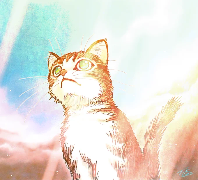 オハコンバンチハ! 