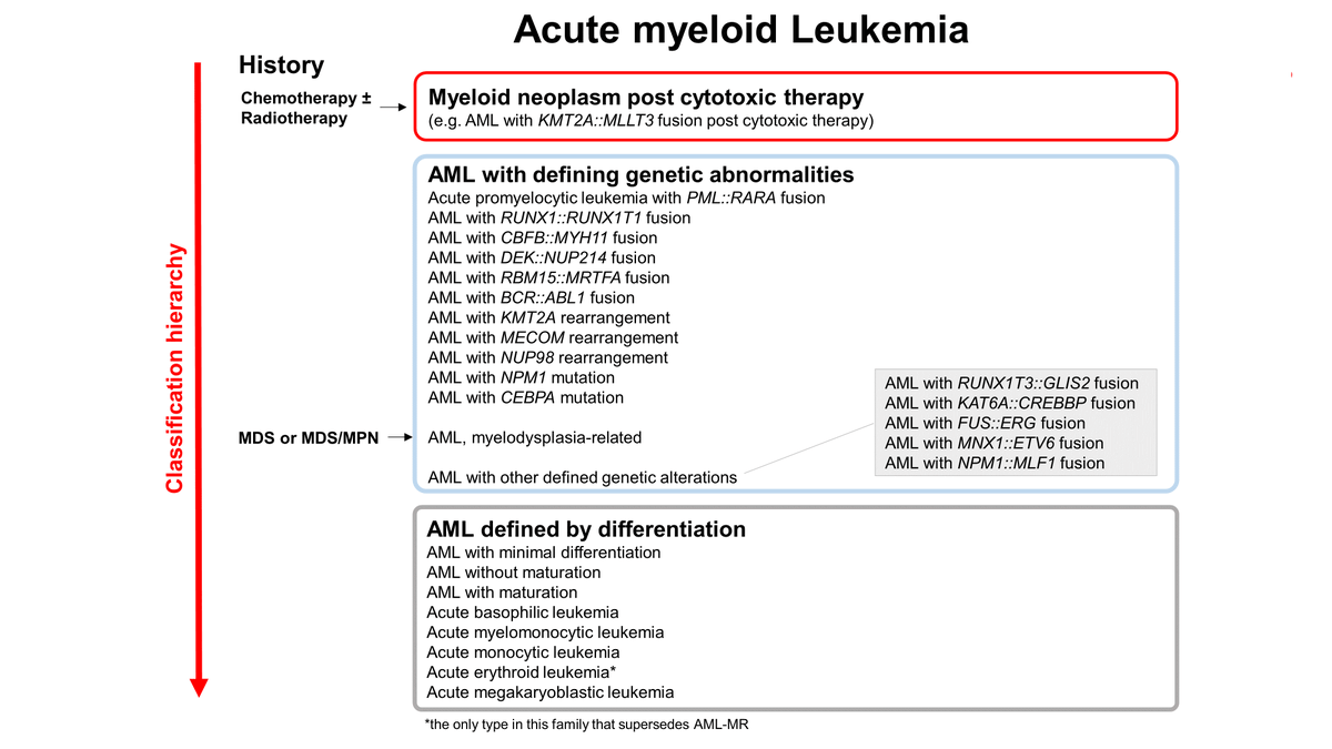leukaemielabor's tweet photo. The new WHO classification arranges #AMLs into: AML with defining #GeneticAbnormalities (AMLgen) + AML defined by differentiation; ≥20% blasts are not required for most AMLgen; #RUNX1mut isn't recognized as an AML subtype; AML,NOS is no longer applicable; AML-MR replaces AML-MRC https://t.co/7S1udxwPS3