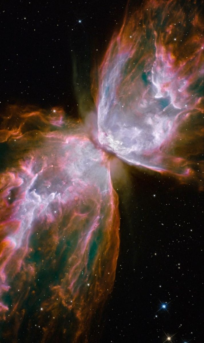 maiz_julio's tweet photo. NGC6302.Buterfly nebula by Hubble telescope #NASA #ESA #Hubble https://t.co/AGqT203KDI