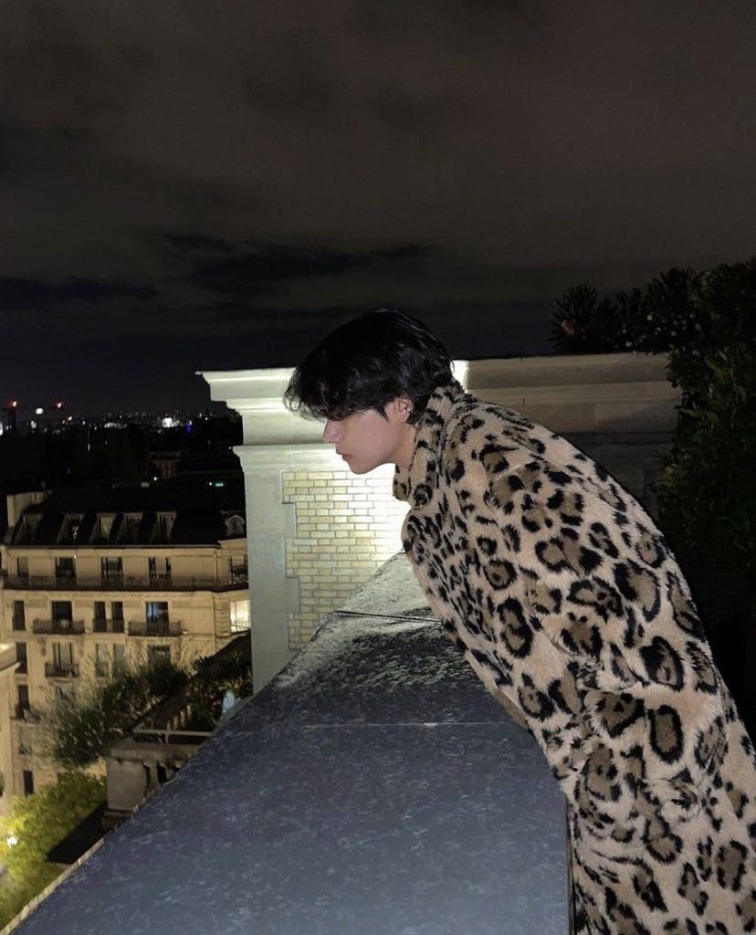 btsinthemoment's tweet photo. [thv] instagram post 

🐯 late night paris https://t.co/wUD98zWngJ