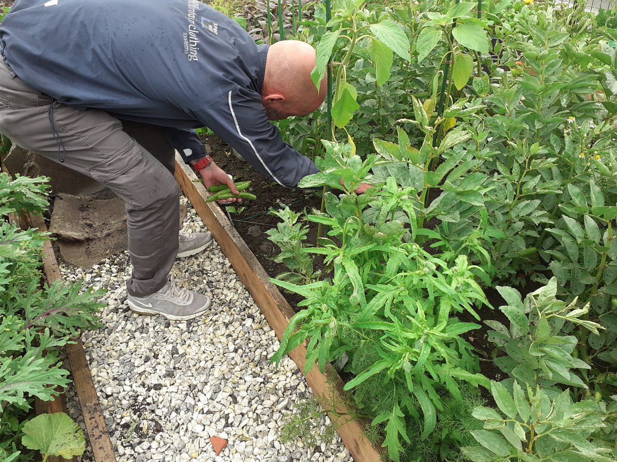 Sacro Garden Project tweet media
