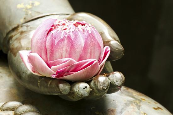 CardiffGlow's tweet photo. Spaces for Friday 1st July - Relaxing Massage, Blissful Couples Massage &amp; Glowing Holistic Facials in Newport City Centre NP20 1LN.
https://t.co/r09NPq3Irh https://t.co/YlW9uoJq9g