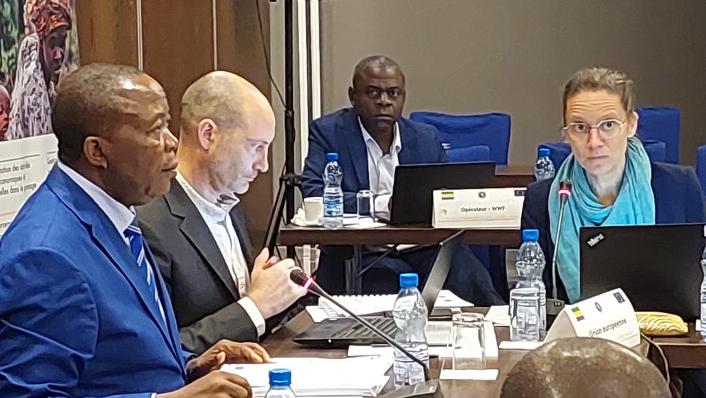ecofac6's tweet photo. Intervention de Mme. Sylvanie Jardinet, représentant @UEauCameroun au Comité de pilotage du Programme régional #Ecofac6. Le Cameroun est un pays clef du Programme #Ecofac6 qui y est présent depuis son lancement en 1992. https://t.co/JSgVQfc0u0