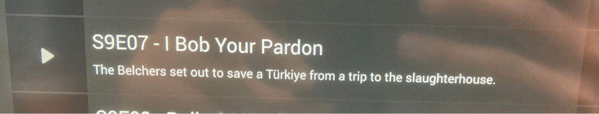 BrammerAyse's tweet photo. This is from a Turkish Airlines flight… They just did CTRL+F to find every single “turkey” and replaced them with “Türkiye” without thinking about the possibility that some of them might actually be the bird turkey :) humiliating or hilarious, you decide. https://t.co/9JcDO8KrrD
