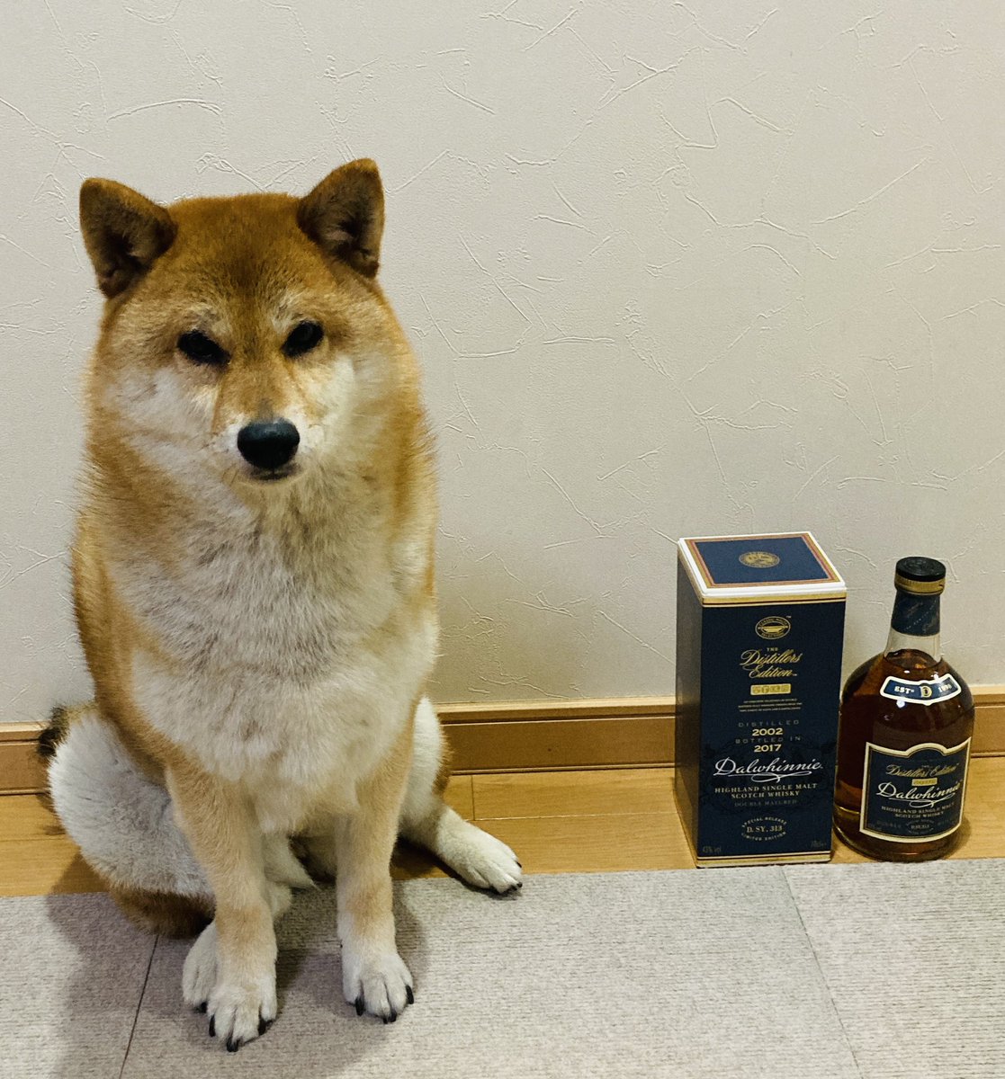 haru_k24's tweet photo. 最終日🔚またまたみんなから素敵なプレゼント🎁🥃縁は自ら手繰り寄せるもの🤝そして自分の思いをきちんと言葉で伝えること。大切なことを学びました🌟みんな本当にありがとう。やってきたことは間違ってなかった😂
#みんな大好きです　
#ウイスキー　
#最後のあいさつ 
#柴犬　
#転勤 https://t.co/JmviNeQM2r